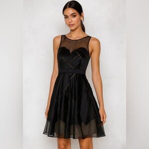 BCBG MaxAzria Black Mesh Formal Fit‑and‑Flare Dress Whimsygoth Coquette Size 4